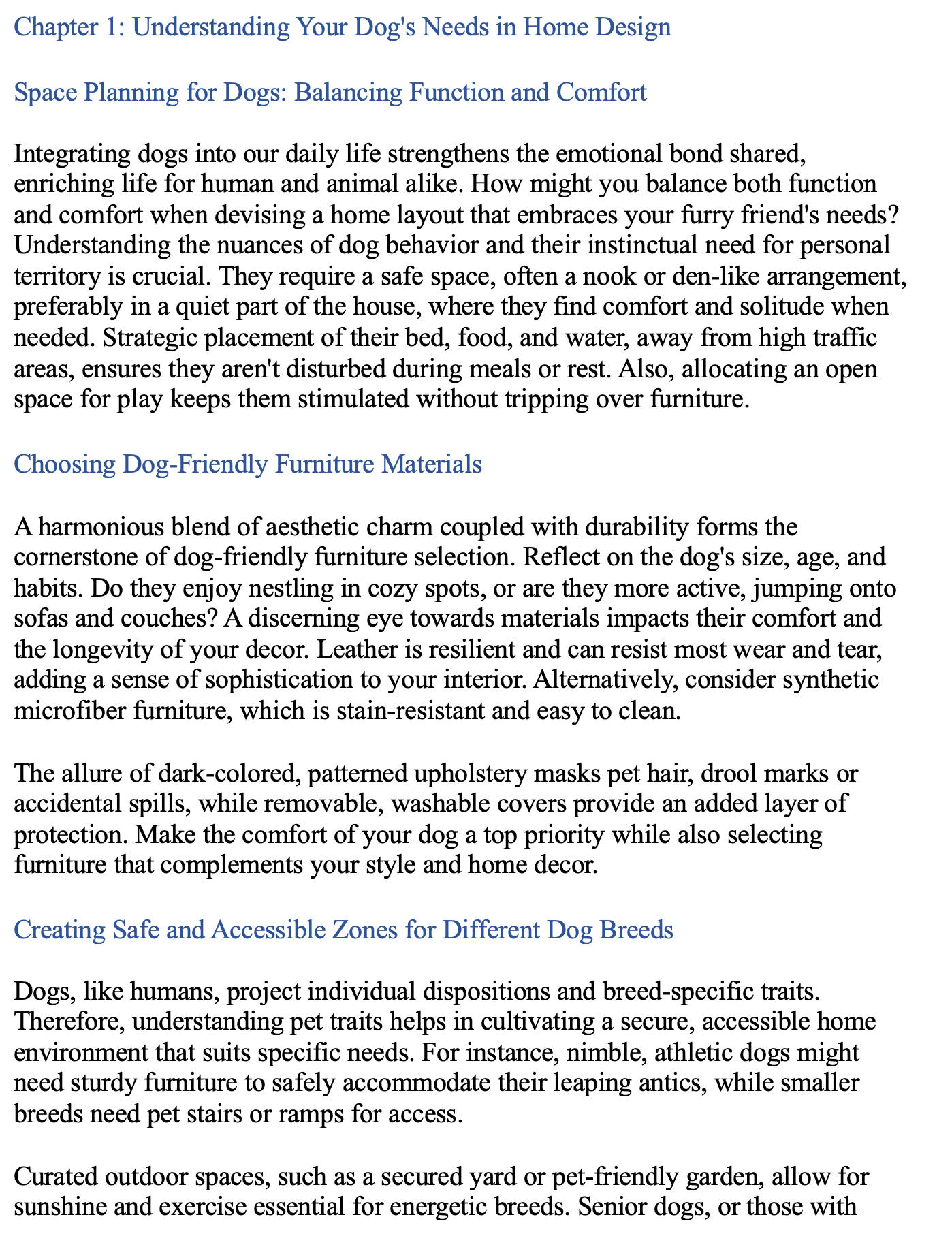 Ultimate Dog Care eBook Bundle: Transform, Celebrate, and Design with Your Dog