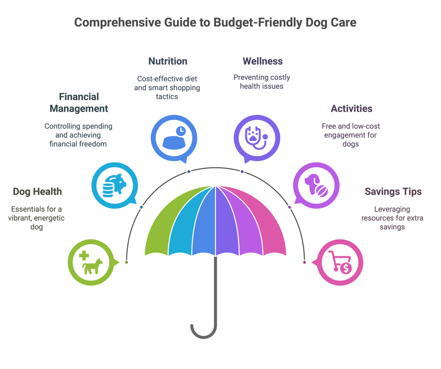 Keep Your Dog Thriving on a Budget – Expert Guide to Affordable Pet Care